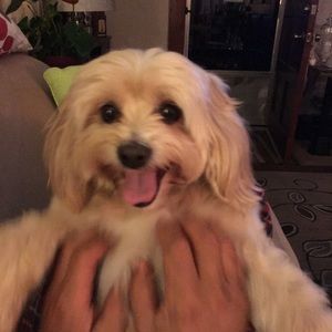 Meet your Posher, Laura